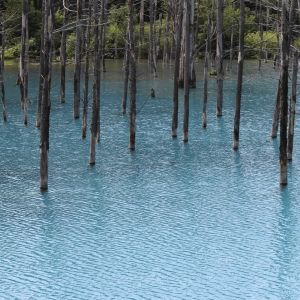 青い池,北海道,綺麗,神秘的,Line着せかえ